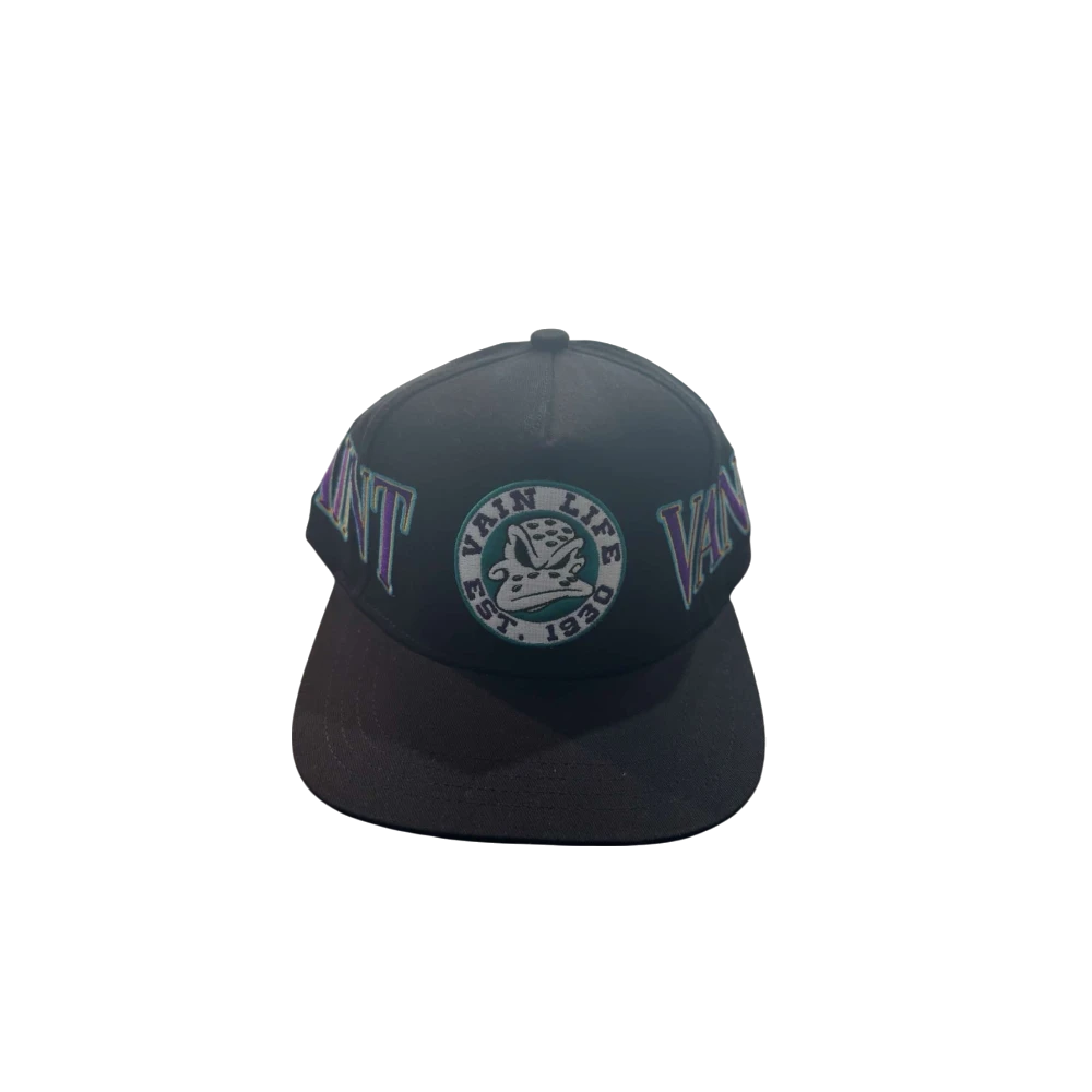 Ducks Snapback