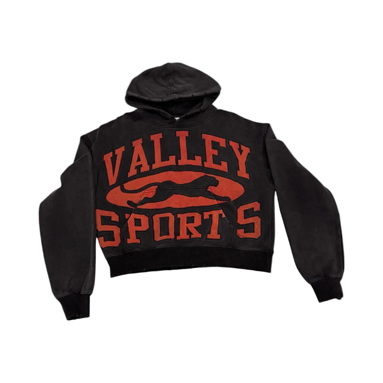 Sport Division Hoodie